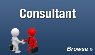 consultant