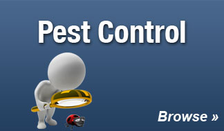 Pest Control