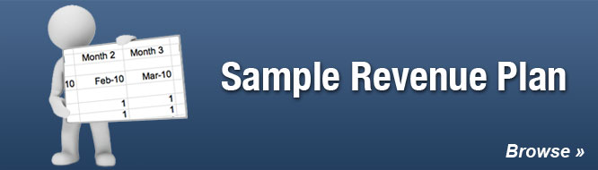 Sample Revenue Plan
