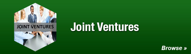 Joint Ventures