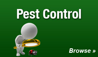 Pest Control